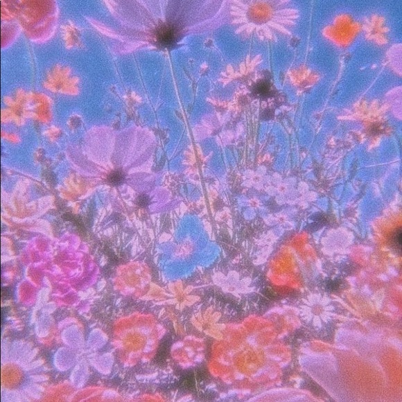 Meet your Posher, Braylea - Picture 1 of 1